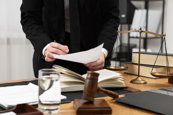Legal Consultation
