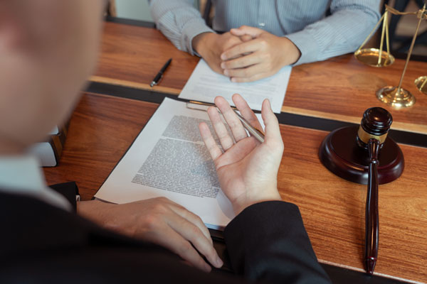 Litigation Assistance