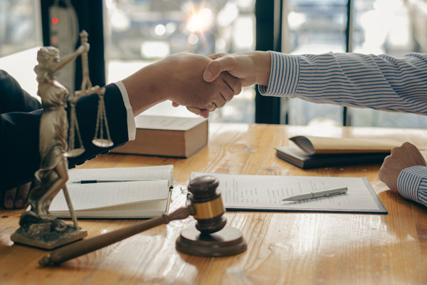 Professional Legal Services Professional Legal Services
