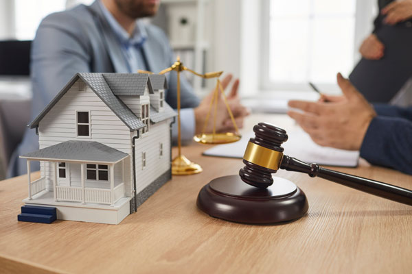 Professional Real Estate Consultation Professional Real Estate Consultation